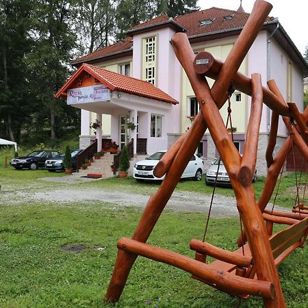 Pension Rose-Trandafirul ボルセック エクステリア 写真