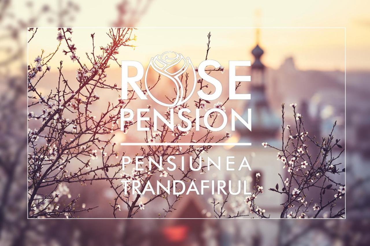 Pension Rose-Trandafirul ボルセック エクステリア 写真