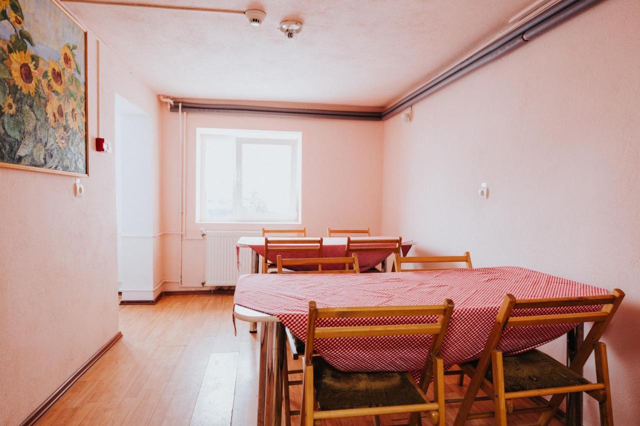 Pension Rose-Trandafirul ボルセック エクステリア 写真